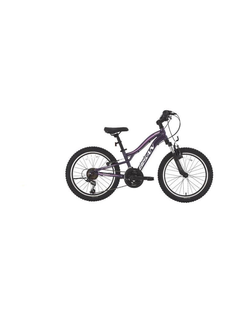 BİSAN GAZELLE 24 JANT 18 VİTES DAĞ ÇOCUK BİSİKLETİ 2026 MOR