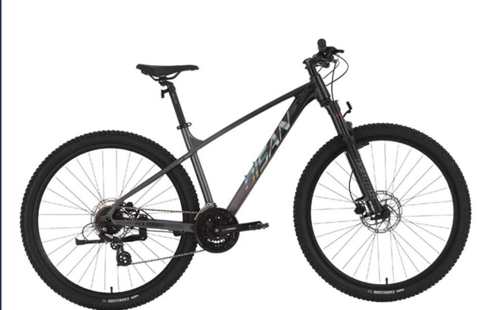 BİSAN BOLD 8.3 26 JANT HD FREN 24 VİTES DAĞ BİSİKLETİ 2026
