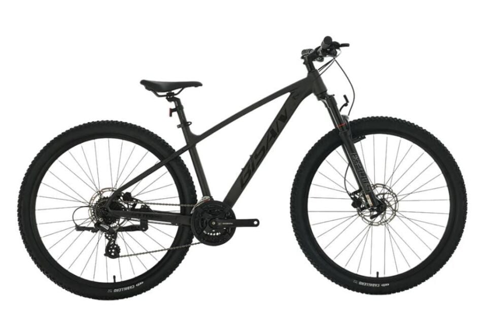 BİSAN BOLD 8.3 29 JANT HD FREN 24 VİTES DAĞ BİSİKLETİ 2026