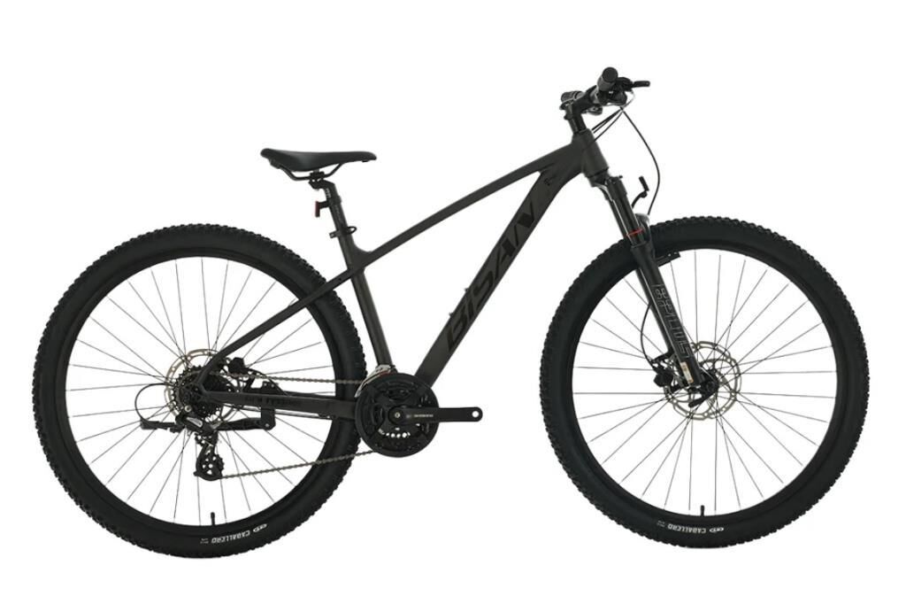 BİSAN BOLD 8.3 29 JANT HD FREN 24 VİTES DAĞ BİSİKLETİ 2026 SİYAH