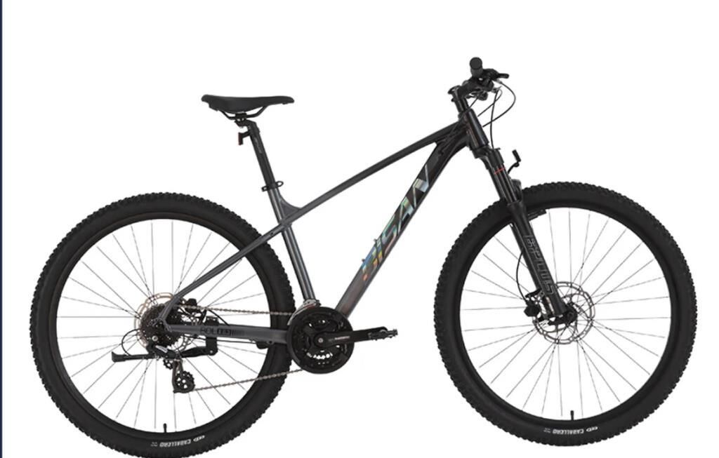 BİSAN BOLD 8.3 29 JANT HD FREN 24 VİTES DAĞ BİSİKLETİ 2026 SİYAH/GRİ